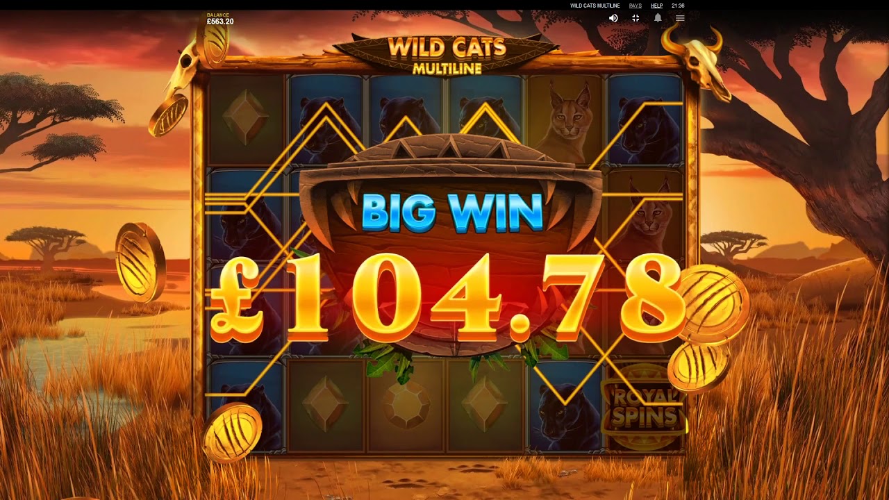 Wild Cats Multiline slot machine bonus features and gameplay