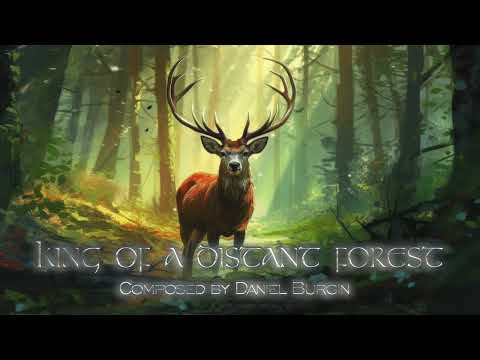 Celtic Music - King of a Distant Forest