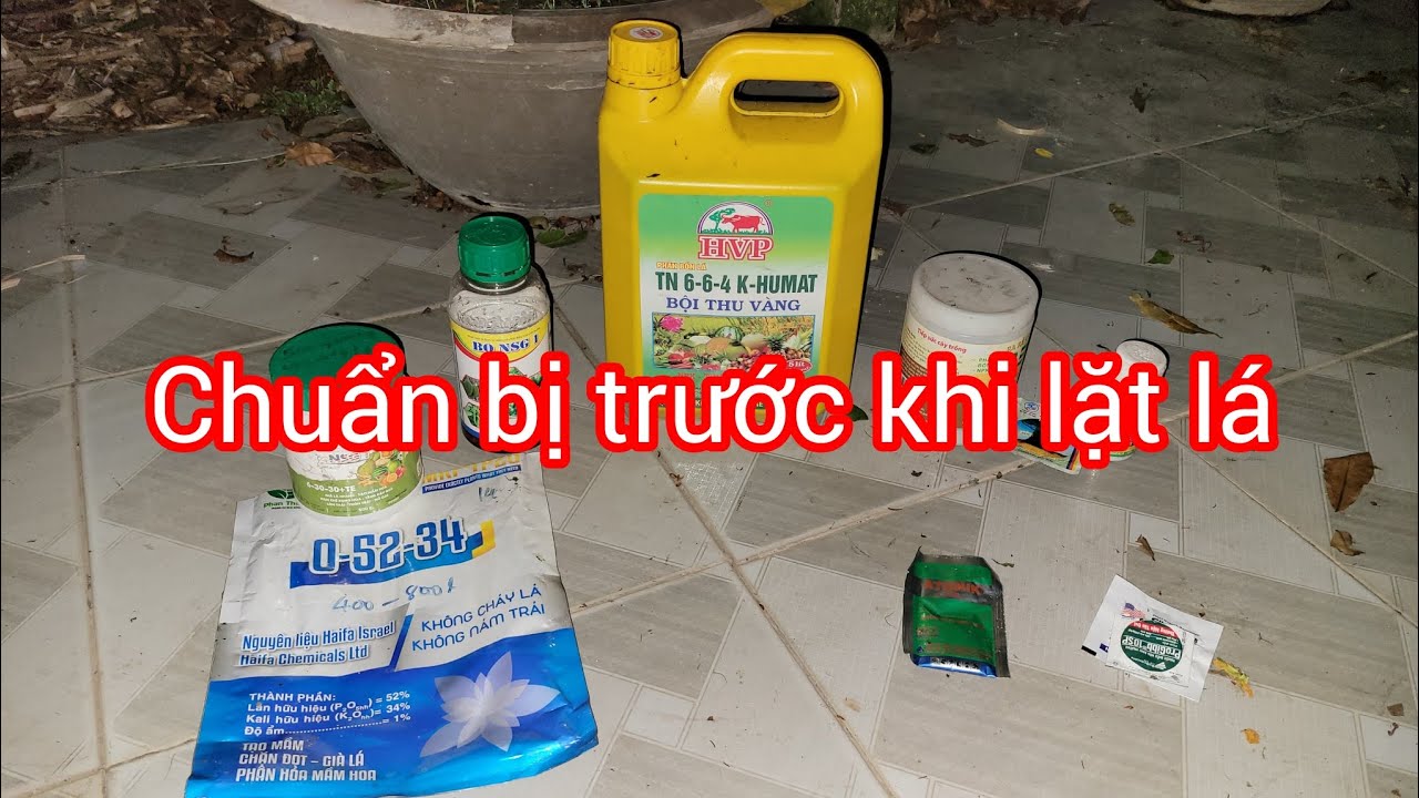 Sử dụng cử cuối trước khi lặt lá hoàn toàn