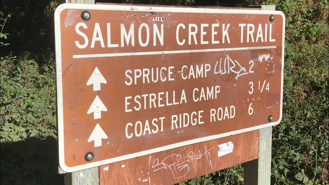 Salmon Creek Trailhead, Big Sur California YouTube