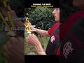 Ranking best wasp nest removals 😯