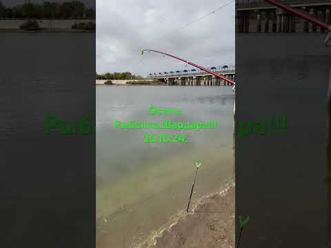 Осенняя Рыбалка !!!