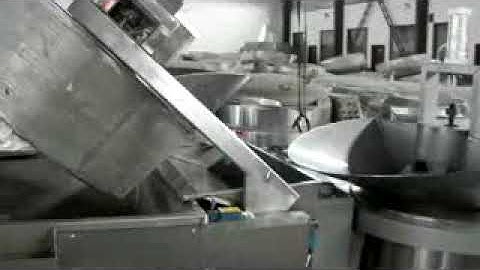 Automatic batch fryer system with deoiling machine