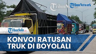 Detik-detik Aksi Konvoi Ratusan Truk di Jalanan Boyolali, Penasihat Lakukan Audiensi dengan Dishub