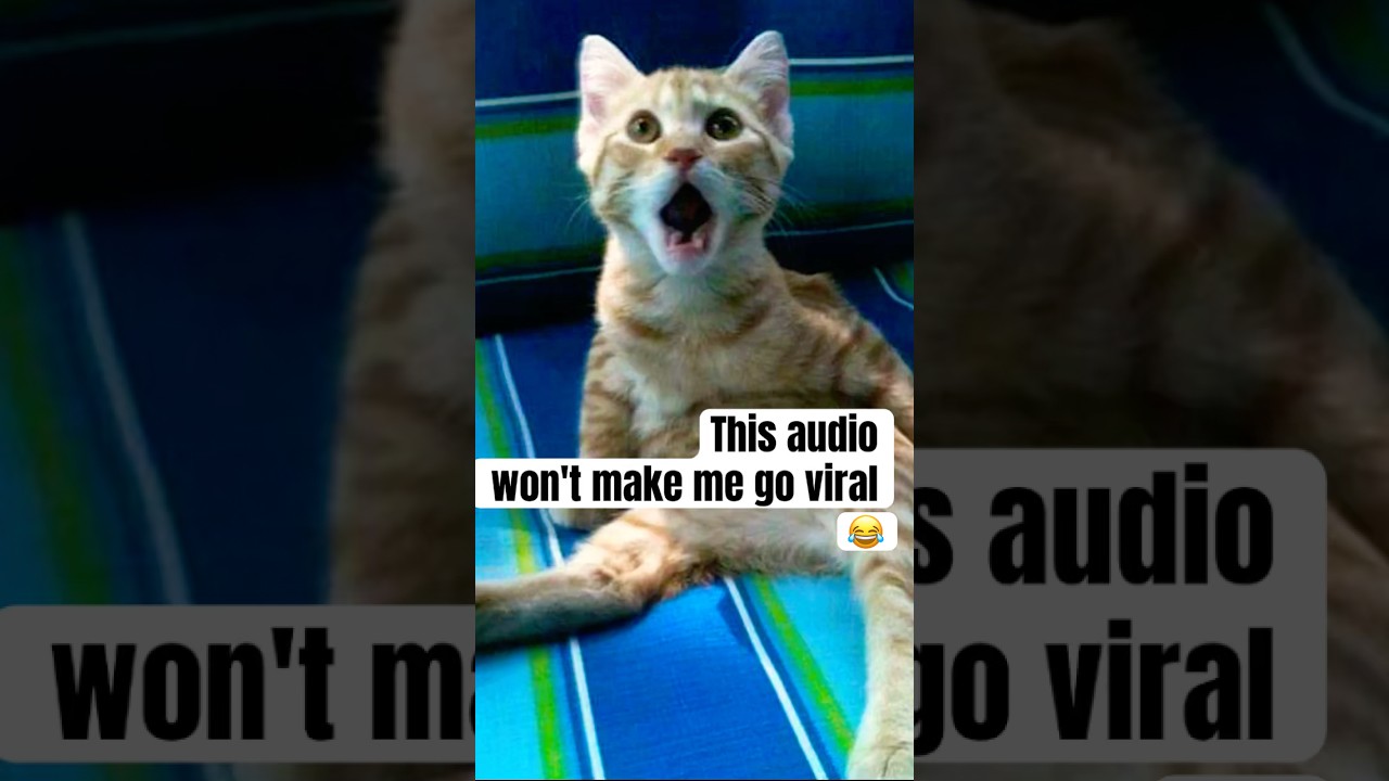This audio won't make me go viral😂 