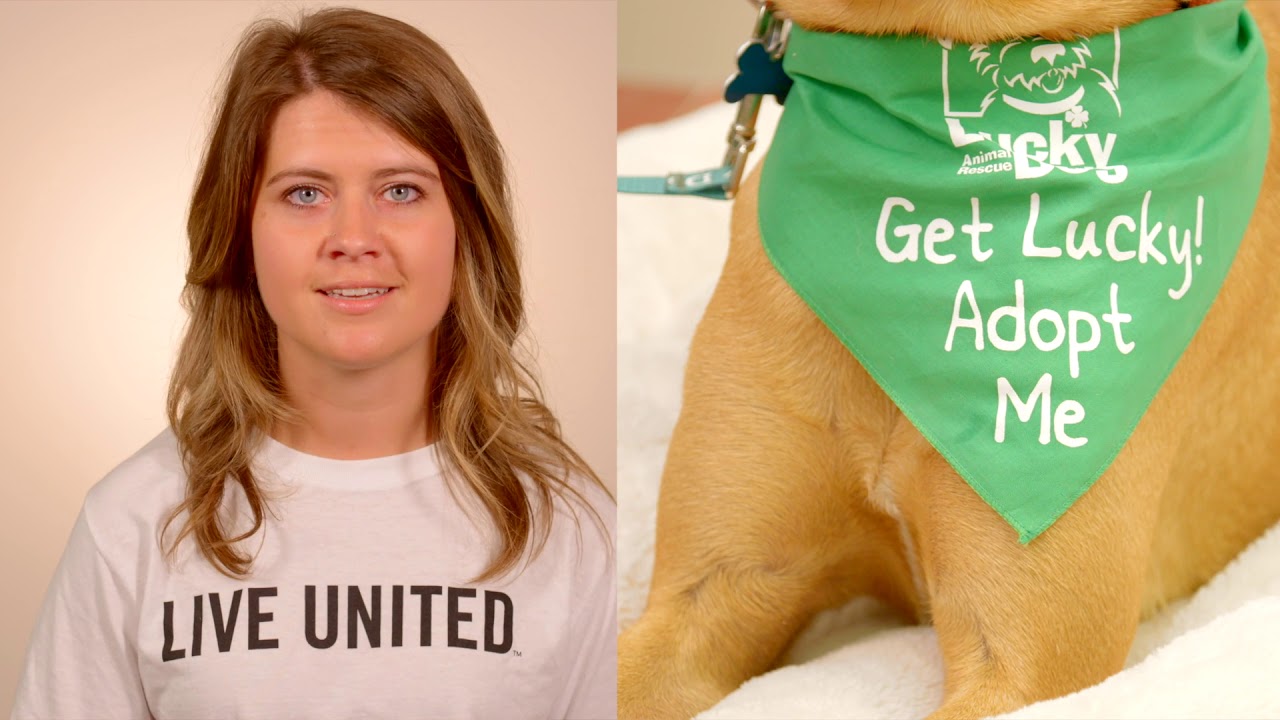 Together Let's Do More For Lucky Dogs and Cats In Need! YouTube