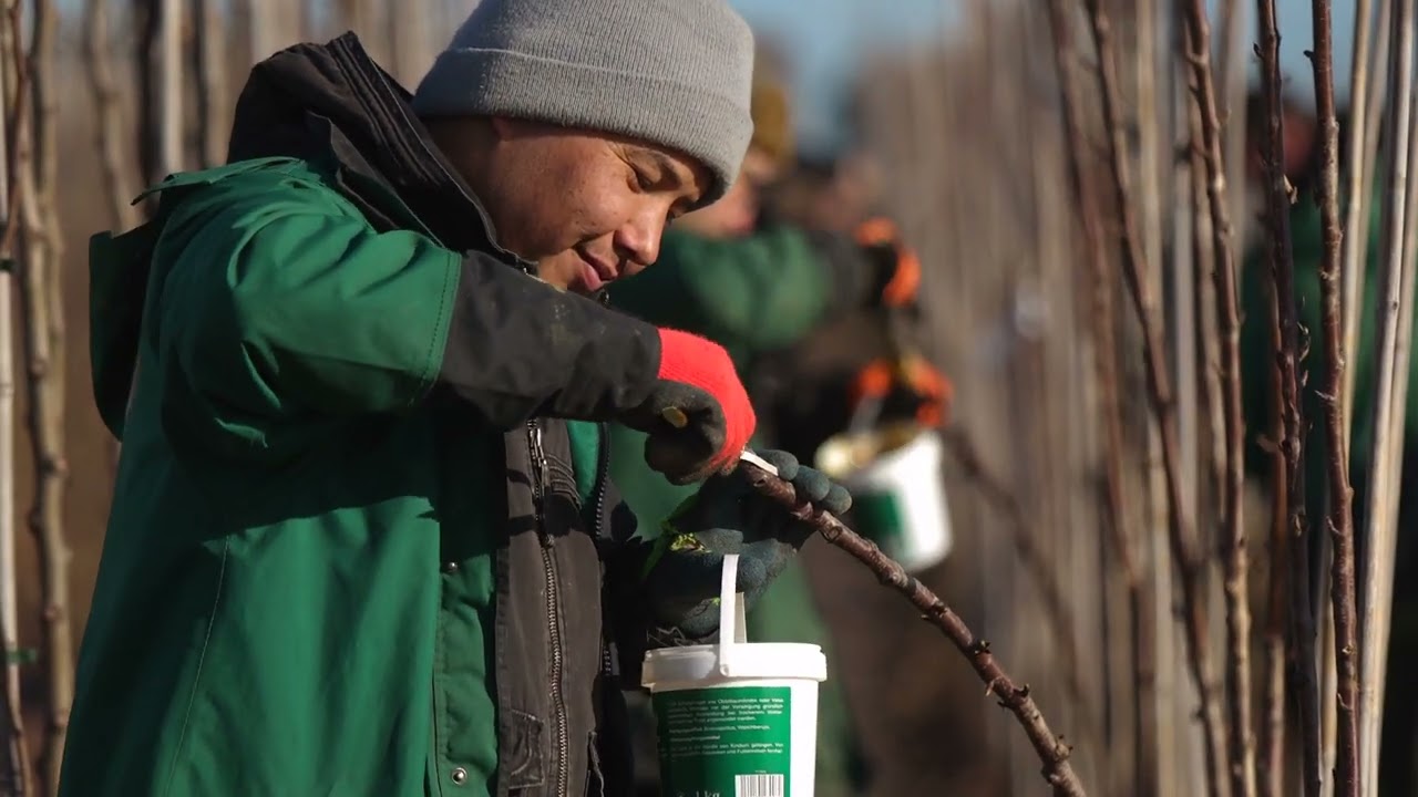 März 2023 - Baumschule Köhler