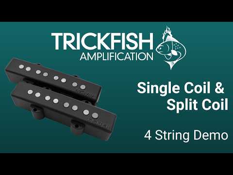 Single Coil and Split Coil Pickup Demo - Jazz Bass Demo