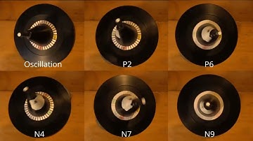 Nutation and precession in spindulums