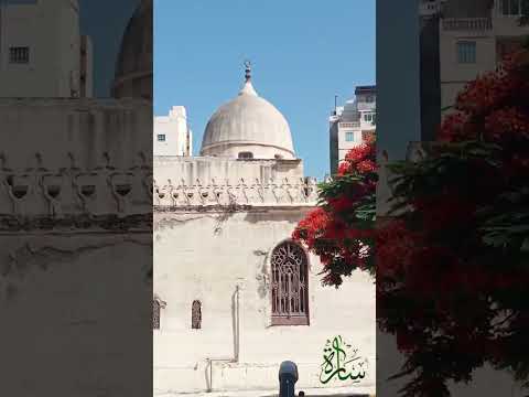 شيلاه يا مرسي يا ابو العباس