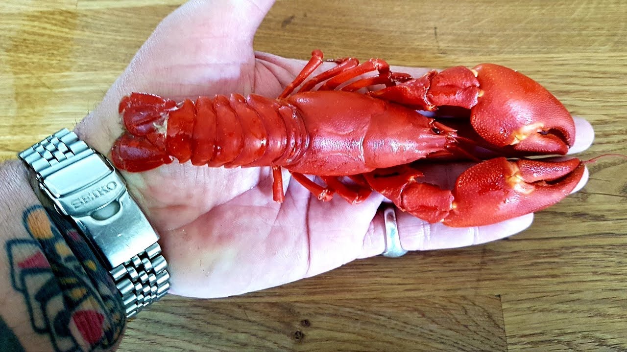 Crayfish Catch & Cook: Crayfish Linguine  