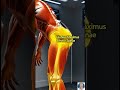 Flexibility Decline Starts Early | Scientific Forward Fold Exercise for Mobility &amp; Healthy Aging