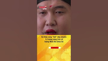 #shorts | Gã thầy cúng “hốt” dây chuyền 1,4 lượng vàng trên cổ tượng Miếu Bà Chúa Xứ