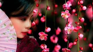 YAN SE - CEWEK MATRE