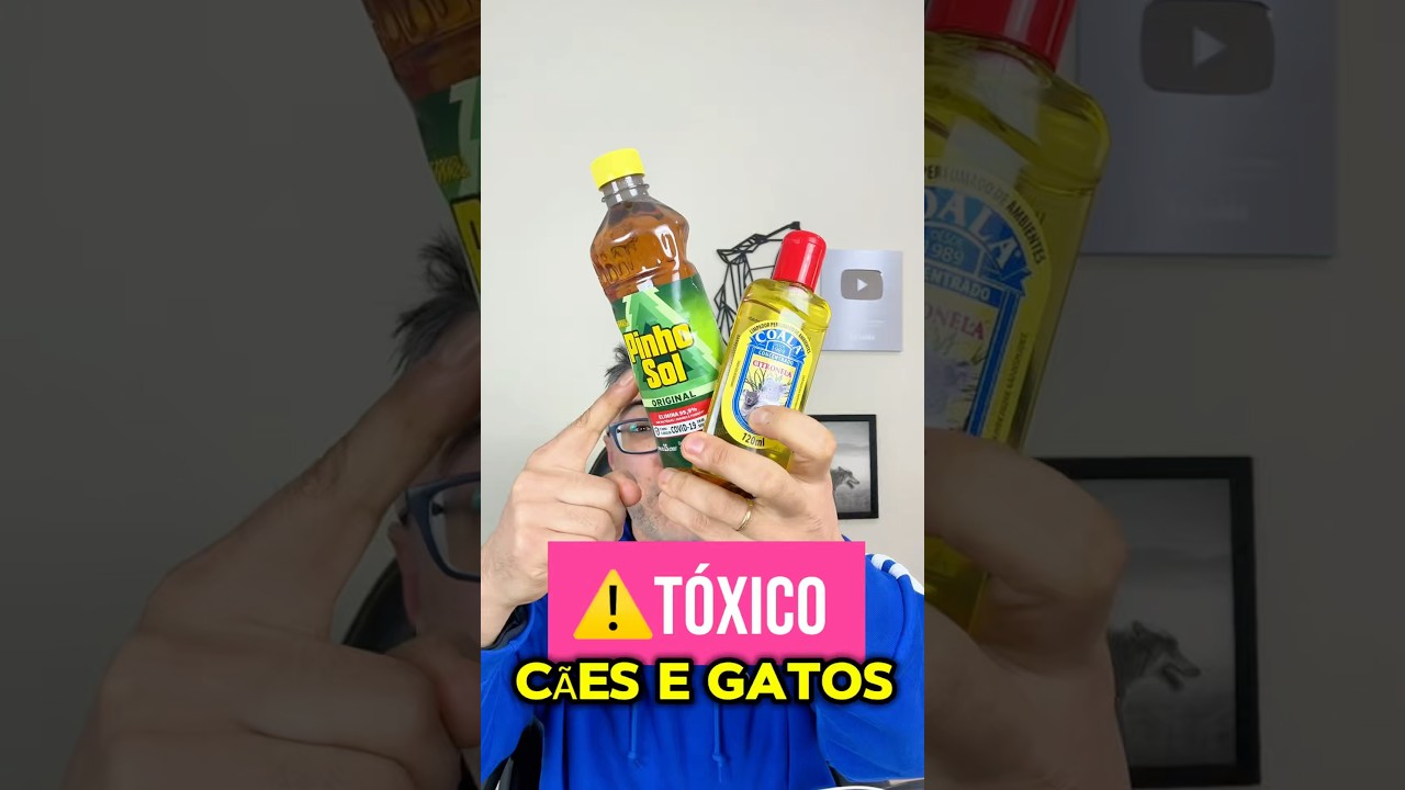 ⚠️3 PRODUTOS TÓXICOS vc usa cães e gatos! #cachorro #gatos #pet #pets #petshop #goldenretriever