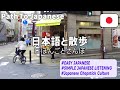 Simple Japanese Listening｜Japanese Chopstick Culture