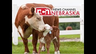 TikTok Push Back | Headline News | Nebraska May 8th, 2024