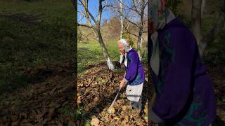 Прибираю листя у саду🌳 #осінь #shortvideo #grandma #життя #nature #shorts