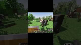 the search for pumpkins #minecraft #subscribe #shorts