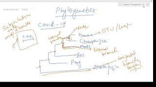 Basics of Phylogenetics - Understanding the nomenclature and types of phylogenetic tree.