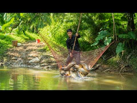 Trieu Duc Pulls in a Net Full of Giant Fish - An Incredible Catch