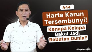 Download Lagu Harta Karun Tersembunyi! Kenapa Kelapa Bakal Jadi Rebutan Dunia? #BayuDiningrat MP3