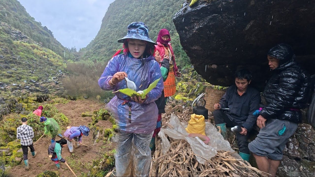 Gia Đình Em Sính Trồng Ngô Đầu Tiên Và Bữa Cơm Trong Nương | MỶ VLOG | 