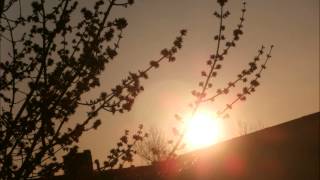 112Surat Al-Ikhlas  :   Saad Ghamdi