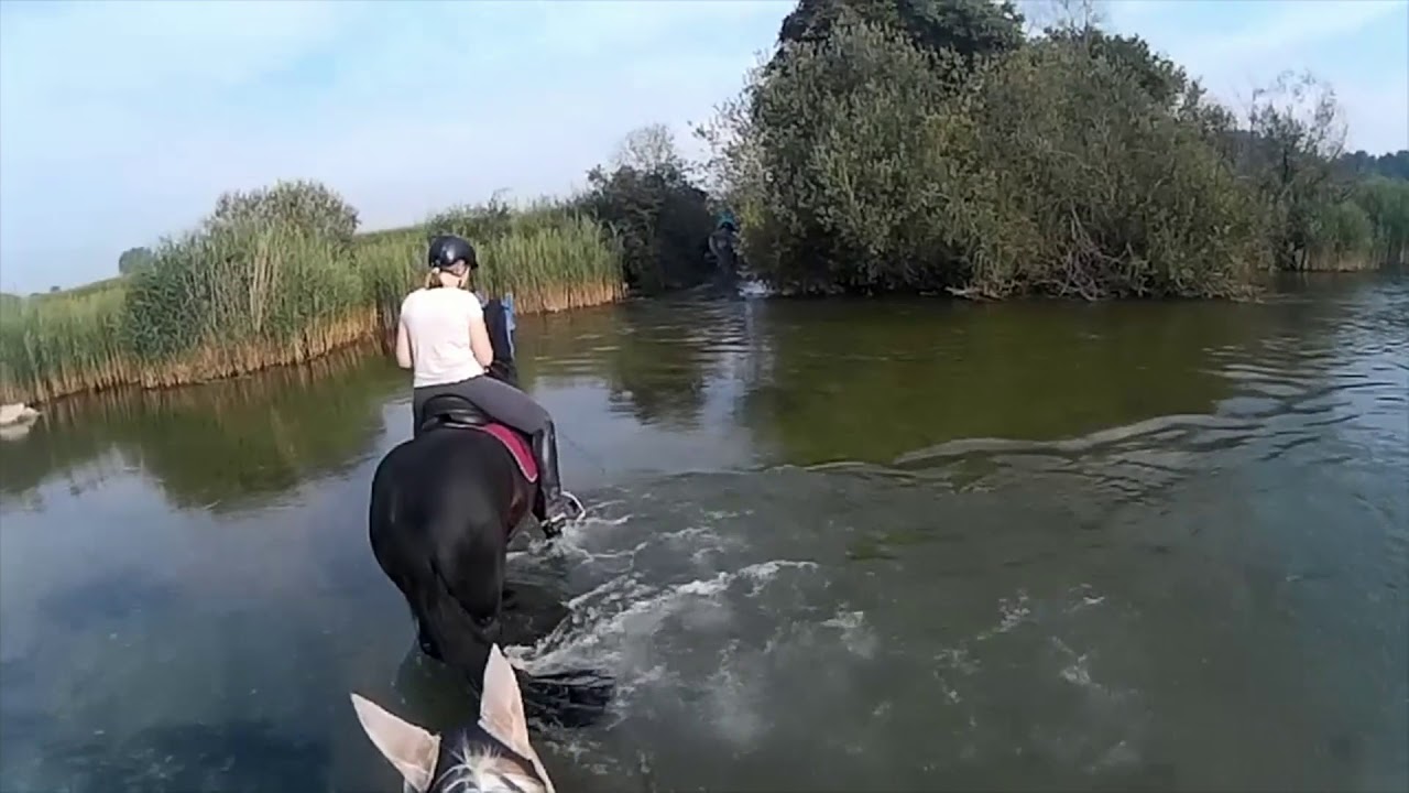 Wandergaul 2018 FILM