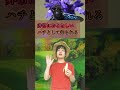 【生物】怖い見た目で実は優しい生き物3選【雑学、考察】#Shorts