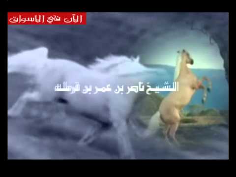 إعلان إصدار العاديات Swafin 