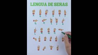 🤟 Alfabeto en Lengua de Señas: ¡Aprende el Abecedario Completo hoy mismo!