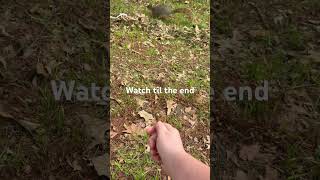 #jesus #bowhunting #turkeyhunting #hunting #fishing #deerseason #archery #deerhunting #hunt #outdoor