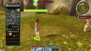 How to get the tapestry shred in Guild Wars 1 #guildwars #guide