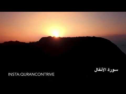 ولا تكونوا كالذين قالوا سمعنا وهم لا يسمعون الأنفال ٢١ القارئ الشيخ محمد اللحيدان