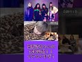 【午前0時のプリンセス切り抜き】聖秋流ちゃんの男装公開！イケメンすぎ。笑　#shorts #午前0時のプリンセス #ぜろぷり #ぜろぷり切り抜き