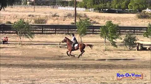 178XC Tina Hoover Preliminary Rider Cross Country ...