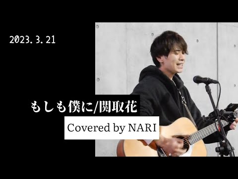 アンプ通さず弾き語り【NARI】もしも僕に/関取花 路上ライブ【カバー】歌詞付き