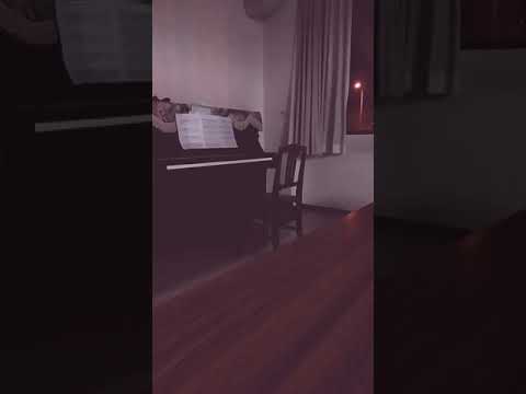 中島みゆき 『 倒木の敗者復活戦 』