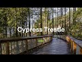 Cypress trestle bridge  mountain path trail west vancouver  vancouver trails