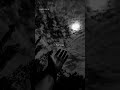 Darkside X Ajaa Sanam | Lyrics Video | Aesthetic Video | #shorts #lyrics