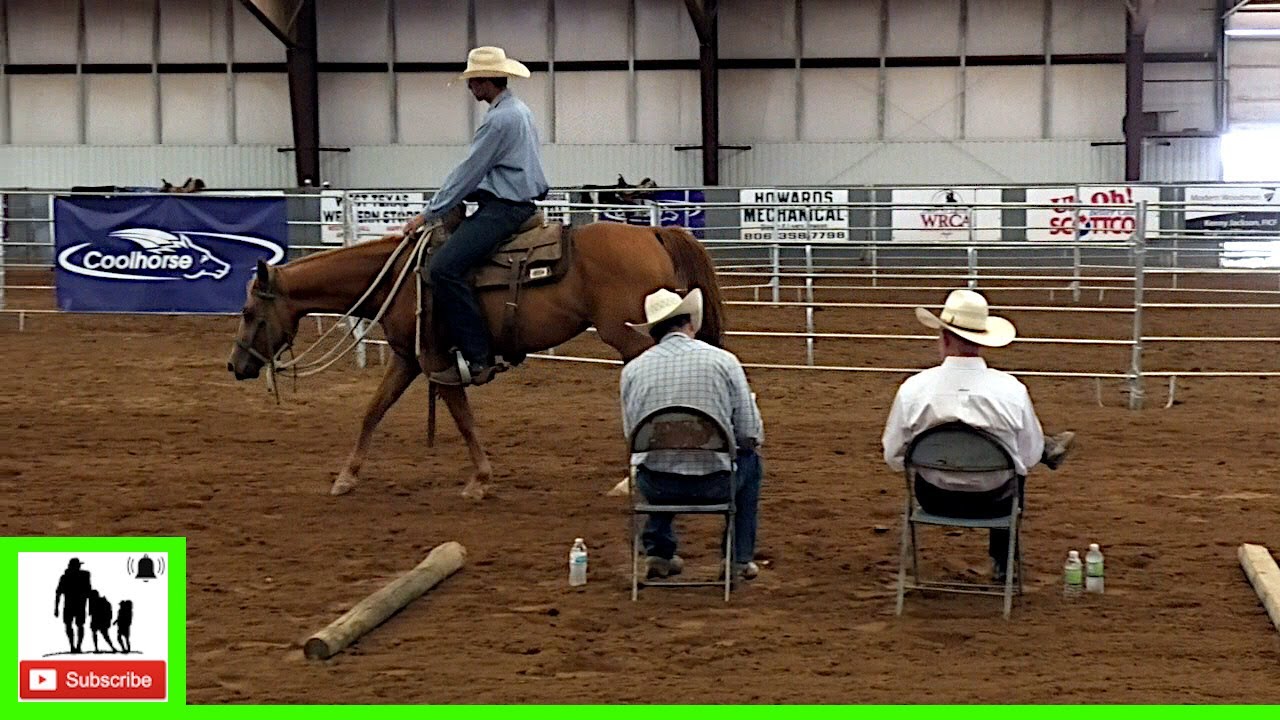 2020 Coolhorse Colt Starting Challenge Day 3 Group 1