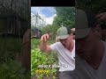 Go to Skool.com/radicalgardening to join the free community or hit the link it my bio. #regenerate