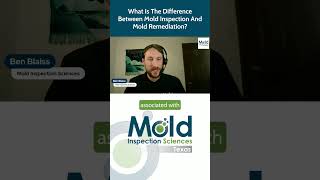 What is the difference between mold inspection and mold remediation?