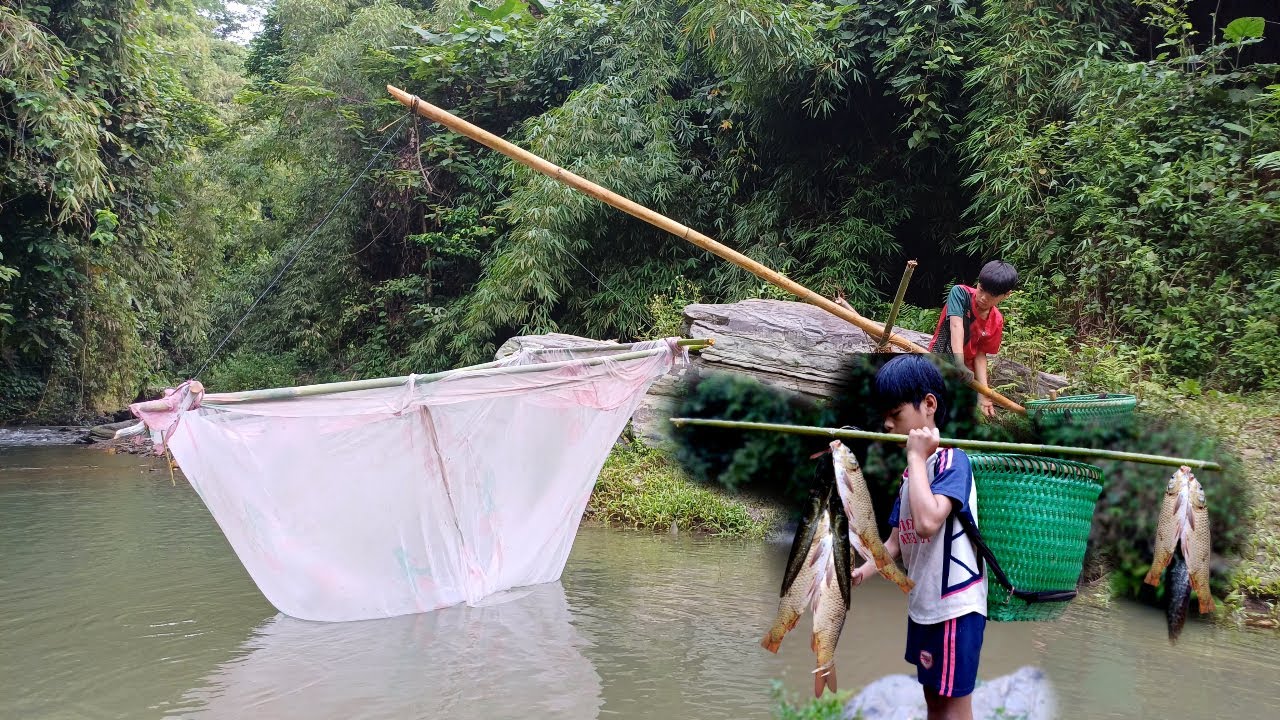 Using bamboo to make a traditional fish trap is lucky to catch many ...