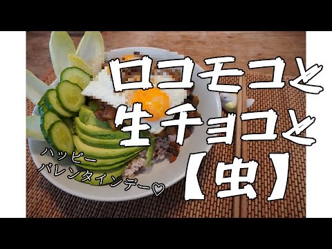 ロコモコ と は