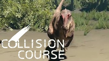 Returning to Dinosaur Country Didn