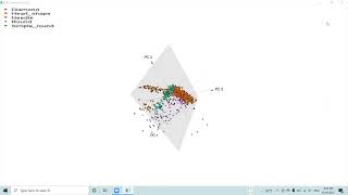 PCA 3D
