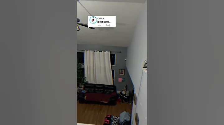 is that Nosey Citra's Robot ? #fyp #citra #nosey #robot  #escape #shorts #howto #foryou #fypシ