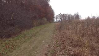 Trail Master Mid XRX top speed